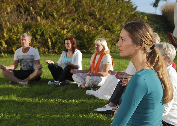 Hotel Curhaus Bad Kreuzen Kreuzen (Upper Austria)